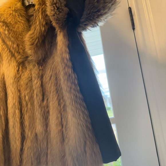 Japanese Tanuki Fur Coat: - Picture 3 of 4